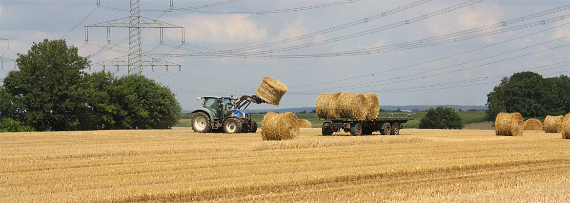 Fotos Landwirtschaft Geilenkirchen