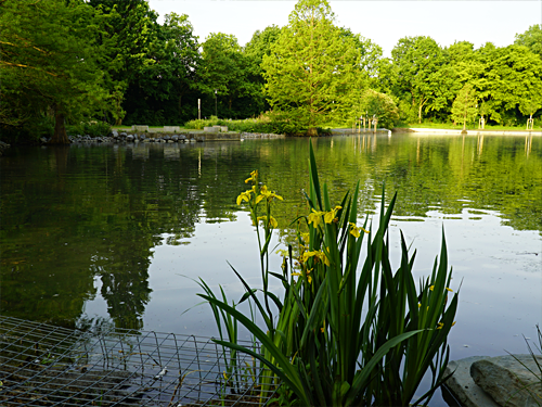 See Wurmauenpark Geilenkirchen