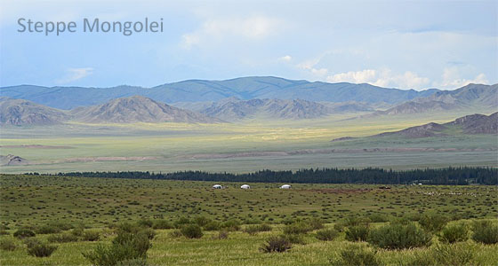 Rennmäuse Steppenlandschaft Mongolei
