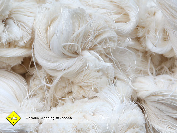 Baumwollfasern Nestmaterial für das Schlafnest