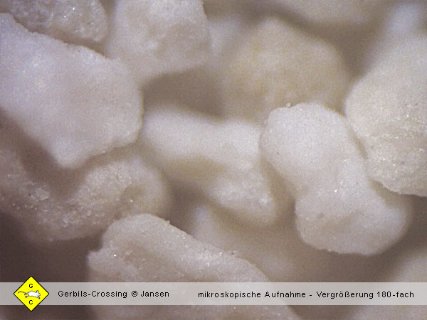 Rennmaus Sandsorten mikroskopische Aufnahmen Rennmaus Sandbad Sandsorten mikroskopische Aufnahmen